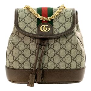 Designer backpack with chain strap